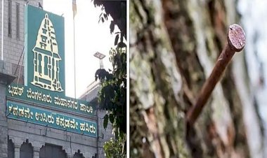 ಇನ್ಮುಂದೆ ಬೆಂಗಳೂರಿನ ಮರಗಳಿಗೆ ಮೊಳೆ ಹೊಡೆಯುವಂತಿಲ್ಲ: ಬಿಬಿಎಂಪಿ ಆದೇಶ