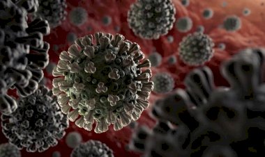 ಧಾರವಾಡ: ಜಿಲ್ಲೆಯಲ್ಲಿ ಇಂದು 9 ಜನರಿಗೆ ಕೊರೊನಾ- ಒಬ್ಬರು ಬಲಿ