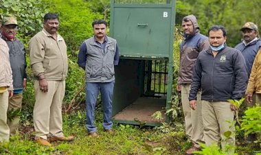 ಚಿರತೆ ಕಾರ್ಯಾಚರಣೆ: ಭೌತಿಕ ಬದಲಿಗೆ ಆನಲೈನ್ ಕ್ಲಾಸ್ ಮಾತ್ರ ನಡೆಯುತ್ತವೆ: ಡಿಸಿ