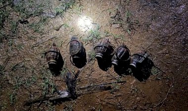 ಬೆಳ್ತಂಗಡಿ: ರಸ್ತೆ ಬದಿ ಗ್ರೆನೇಡ್ ಪತ್ತೆ!; ಪೊಲೀಸ್ ವಶಕ್ಕೆ, ತನಿಖೆ