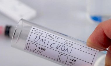 ಮಹಾರಾಷ್ಟ್ರದಲ್ಲಿ  ಒಮಿಕ್ರಾನ್ ಸ್ಫೋಟ 7 ಜನರಲ್ಲಿ ಸೋಂಕು ಪತ್ತೆ