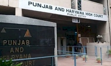 21 ವಯಸ್ಸಿನೊಳಗೆ ಮದುವೆ ಆಗಬಾರದು, 'ಲಿವ್ ಇನ್‌'ನಲ್ಲಿ ಇರಬಹುದು: ಪಂಜಾಬ್ ಹೈಕೋರ್ಟ್