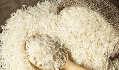 Rice Price Hike: ಅಕ್ಕಿ ಬೆಲೆ ಶೇ.10ರಷ್ಟು ಏರಿಕೆ! ಬಾಂಗ್ಲಾಗೆ ರಫ್ತಾಗಲಿದೆ ದೇಶದ ಅಕ್ಕಿ!