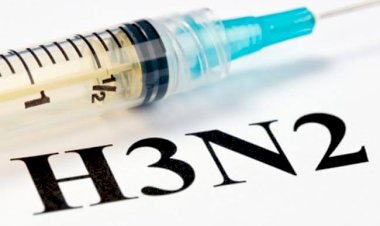 H3N2 ಗೆ ದೇಶದಲ್ಲಿ ಇಬ್ಬರು ಬಲಿ