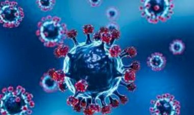 ಹಾಸನ : ಜಿಲ್ಲೆಯಲ್ಲಿ ಮತ್ತೆ ನಾಲ್ವರಲ್ಲಿ ಜೆಎನ್1 ಸೋಂಕು