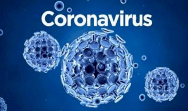 24 ಗಂಟೆಗಳಲ್ಲಿ ದೇಶದ 636 ಜನರಿಗೆ ಕೊರೊನಾ ದೃಢ - 3 ಮಂದಿ ಸಾವು