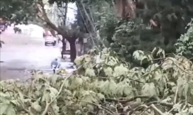 ಧಾರವಾಡದಲ್ಲಿ ಗಾಳಿ ಸಮೇತ ಮಳೆ, ಹಲವೆಡೆ ನೆಲಕಚ್ಚಿದ ಮರಗಳು